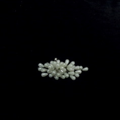 Bridal and special occasion hair comb tiara (042025249)