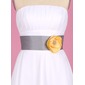 Sash (015003406)