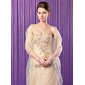 Party/Evening Organza Shawls (013024283)